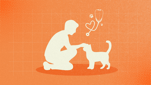 Understanding the Heart of a Pet Owner